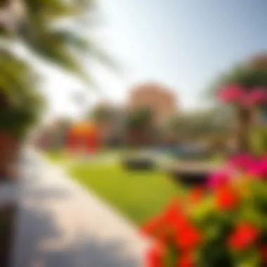 Vibrant community features including parks and recreational areas in Al Maskan