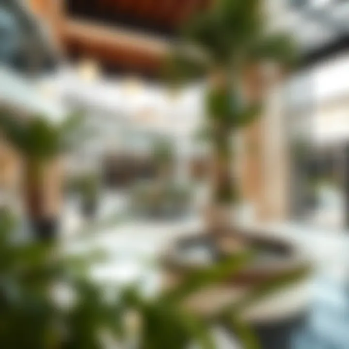 Amenities available within Al Nahda Sahara Plaza promoting community engagement