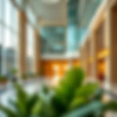 Amenities available in business centers enhancing productivity