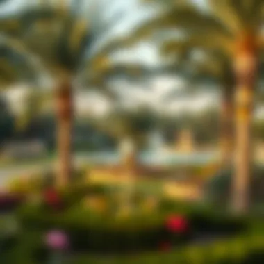 The serene landscape of Dubai's parks offering a green oasis.