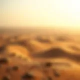 Breathtaking desert landscape near Dubai