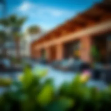 Vibrant community spaces in the Etihad Area