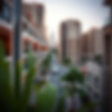 Vibrant Neighborhood with Hotel Apartments Vibrant neighborhood in Dubai with hotel apartments