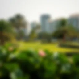 Serene park landscape featuring lush greenery near urban residences