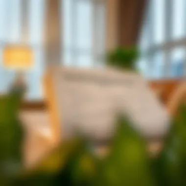 Documentation required for sponsor visa application